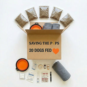 Lifesaver Pack