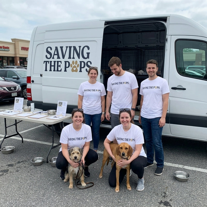 Our mission - rescue dogs
