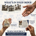 Free Snow Paw Bracelet