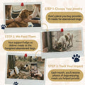 Free Forest Paw Bracelet